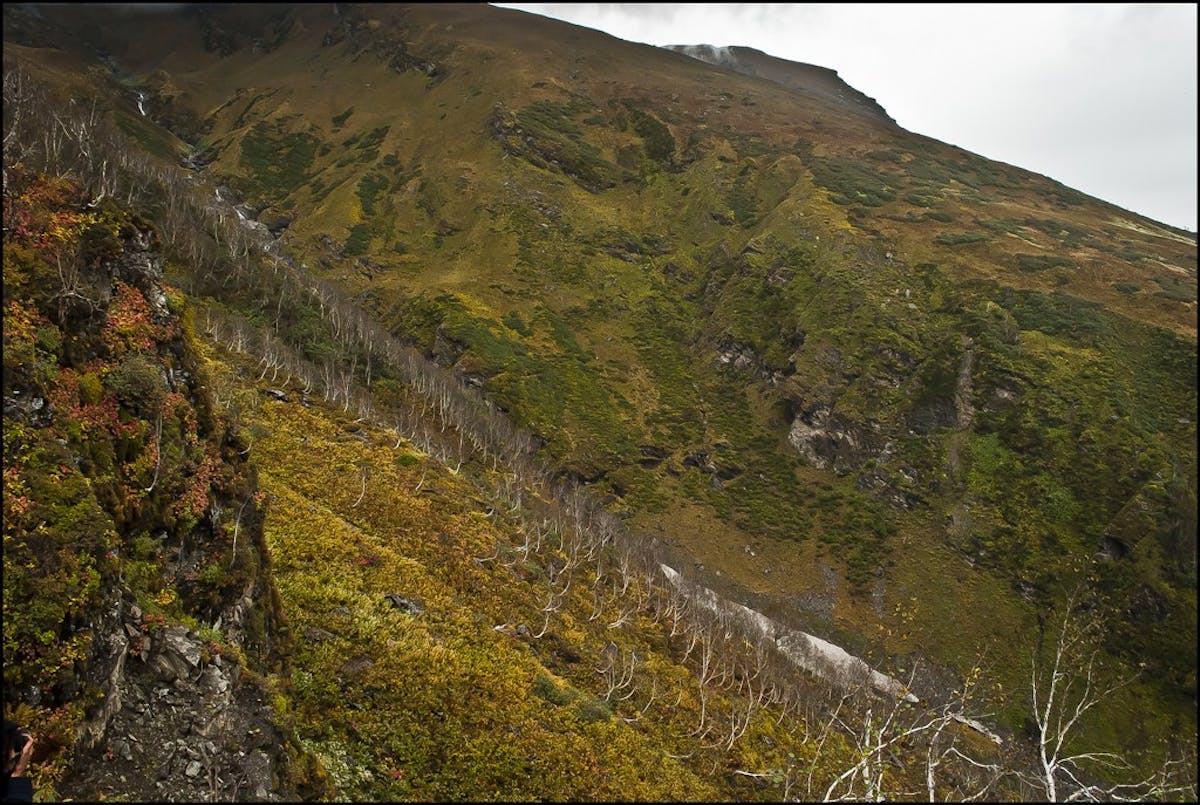 Autumn-Hues-Jiwa-Nala-Parvati-Valley-Trek-Indiahikes-Archives