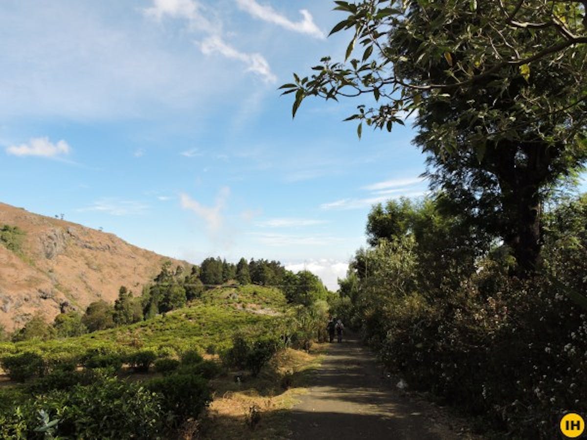 Nilgiris green lake trek