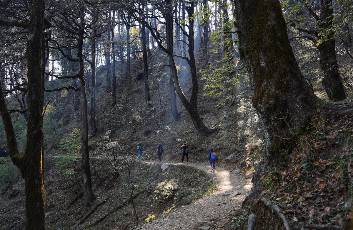 First forest section-Serolsar lake Trek-Indiahikes-Chirag Manga