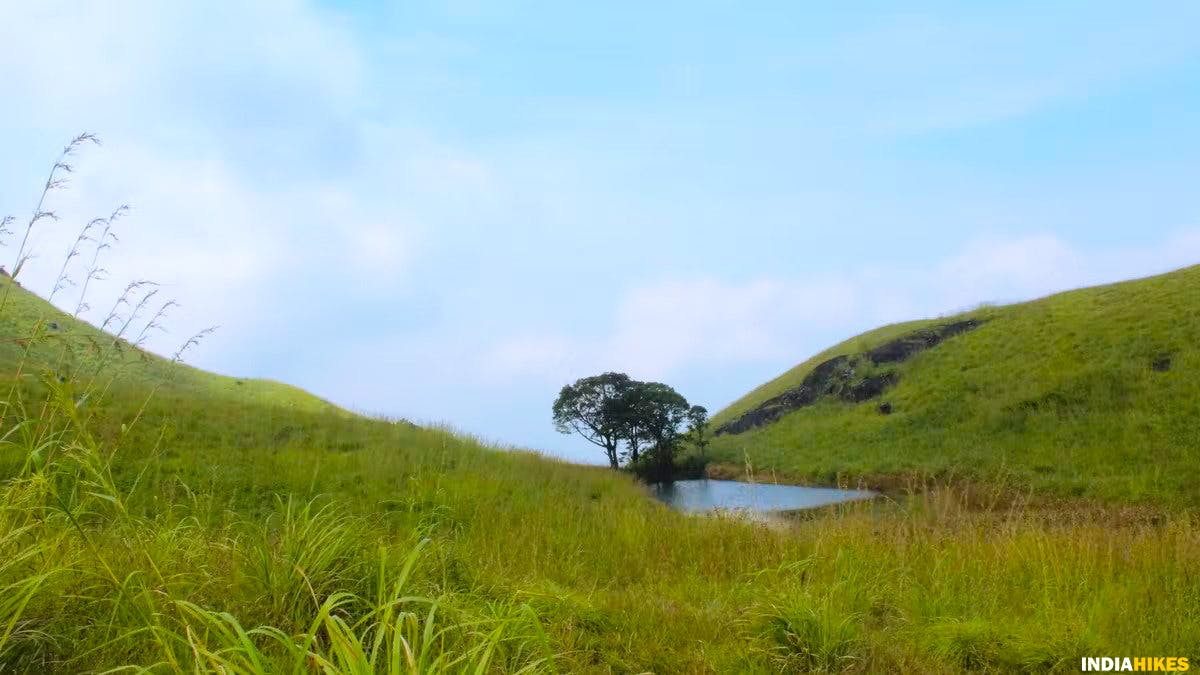 Pond, Chembra lake, Chembra peak, chembra trek, heart-shaped lake, treks in Kerala, Indiahikes