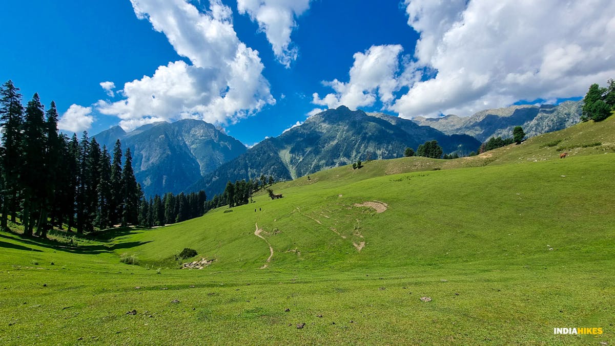Shul-Margi-Meadows-Nafran-Valley-Indiahikes-1