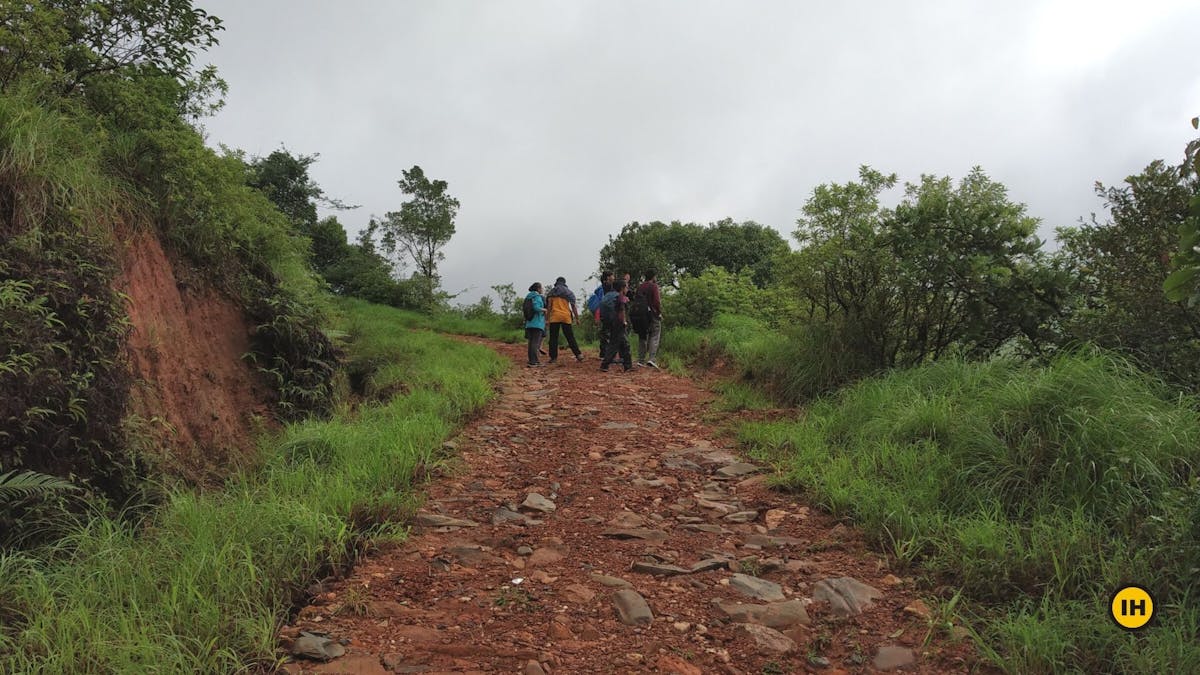 Kurinjal-Peak-Trek-Initial-trails-Indiahikes-Naveen-Ganiga