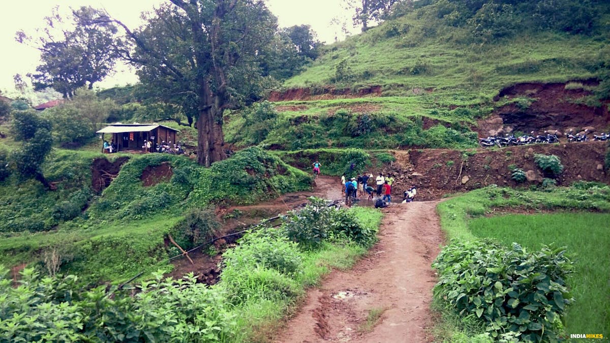 The trail after river crossing, Kalsubai Peak Trek, Indiahikes, Treks near Mumbai, highest peak in Maharashtra,treks near Pune, Famous treks in Maharashtra, Sahyadri treks 