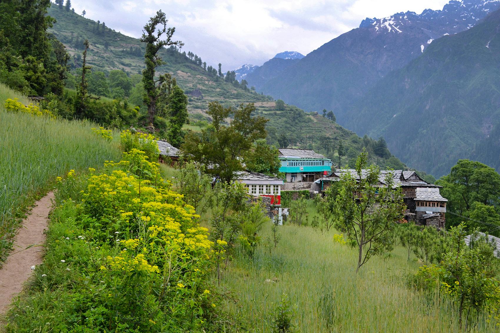 trek the himalayas buran ghati