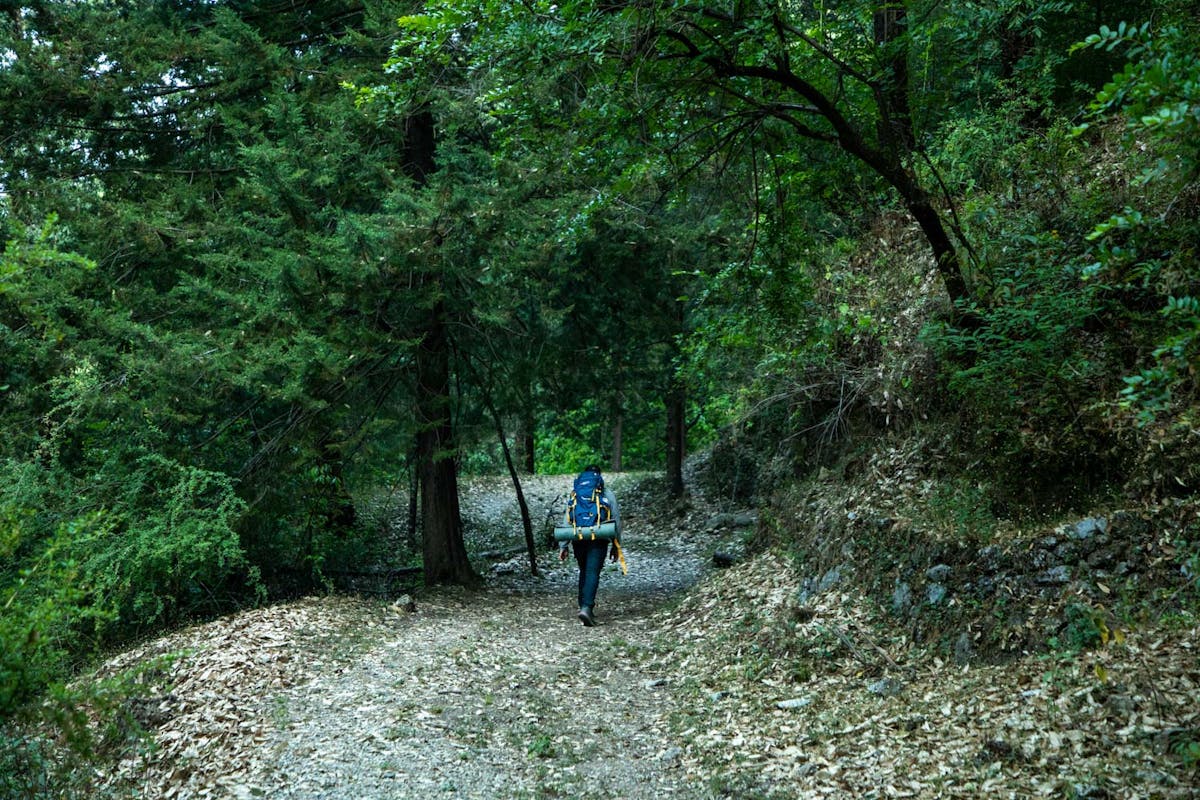 Benog Tibba, treks near Delhi, Indiahikes, treks in Uttarakhand