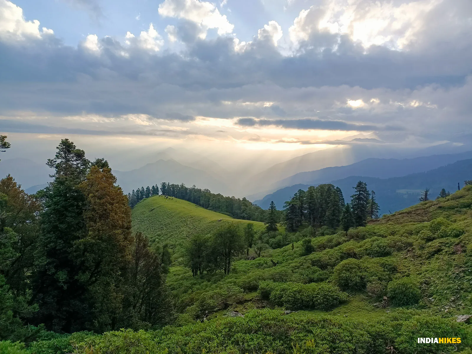 Indiahikes - Kedarkantha Trek (Kotgaon Route, 6D/5N)