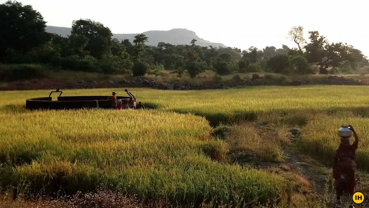 AMK Trek - Take the right turn at this section where the well is on your left. The day begins early for the villagers here as you see in the photo - Indiahikes - Nitesh Kumar