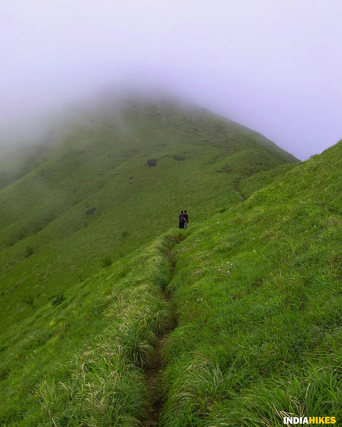 Post-monsoon trail, Kumara Parvatha, Indiahikes, Western Ghats treks, Karnataka treks, treks in Karnataka, most difficult trek in the western ghats of Karnataka