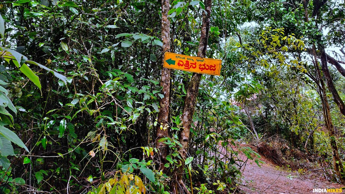 Signboards, Ettina Bhuja trek, western ghats treks, Indiahikes, treks in Karnataka, weekend treks ffrom Bangalore 