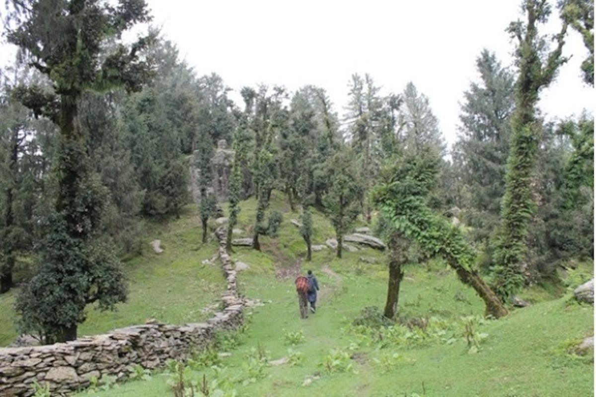 Beautiful forest trail to Teesri. Picture Credit : Mayank Kohli