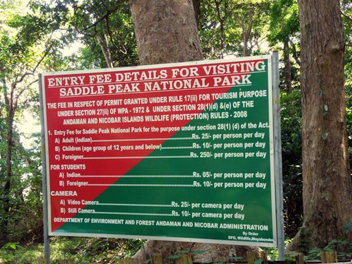 Saddle Peak Trek