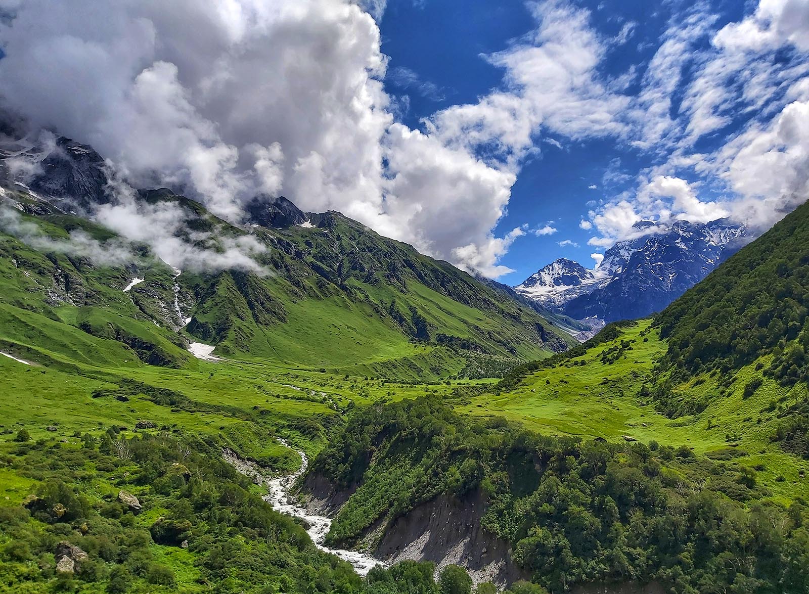 Valley of Flowers Trek 2024 - Uttarakhand - Cost, Itinerary, Photos -  Indiahikes