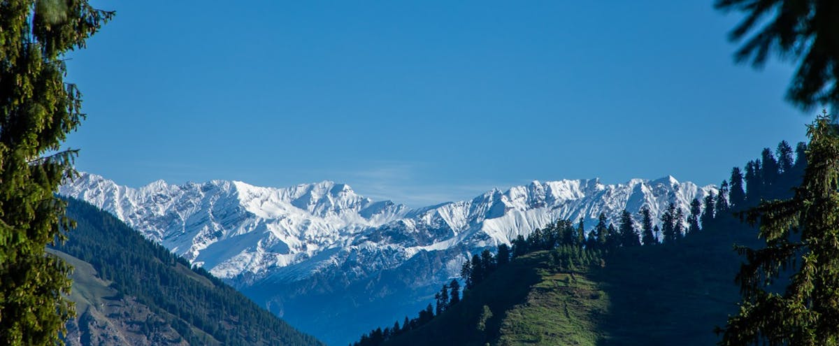Chandrakhani Pass trek, forest, mountain views