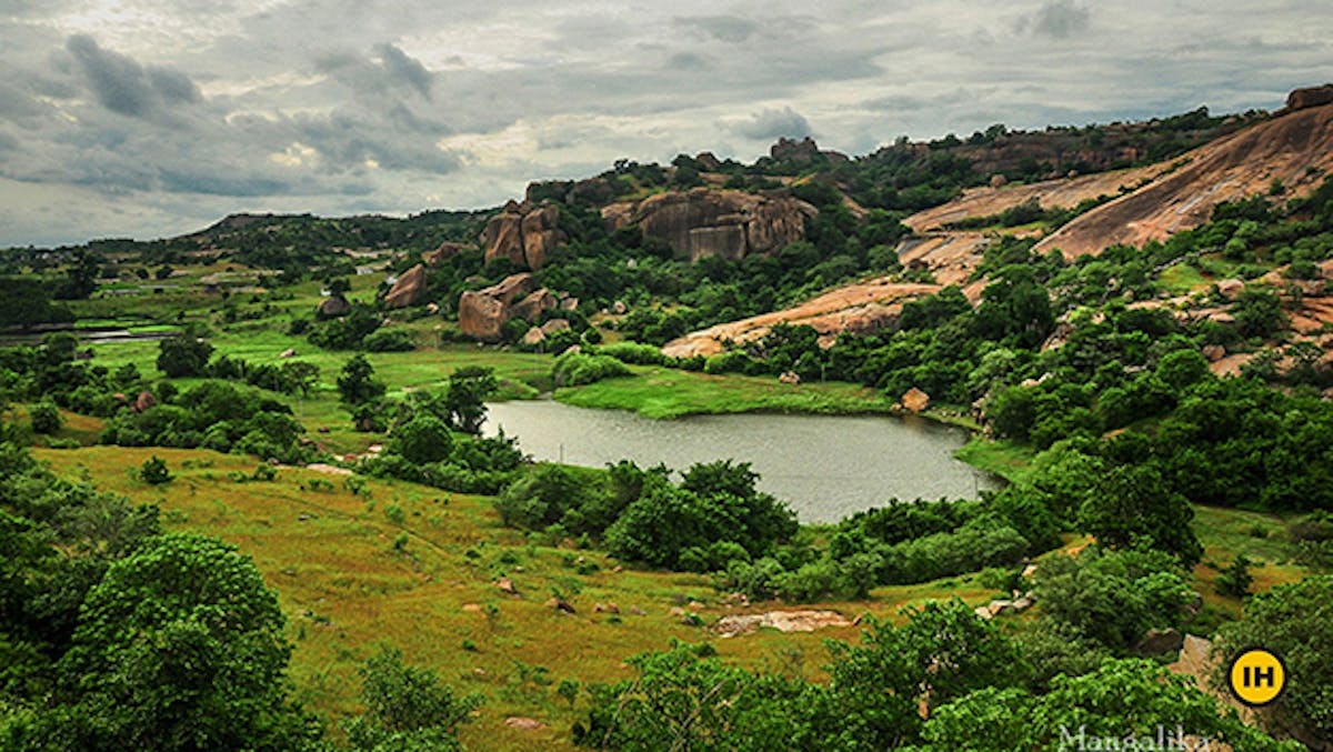 Pea green pond, Rachakonda Fort, treks in Hyderabad, Indiahikes