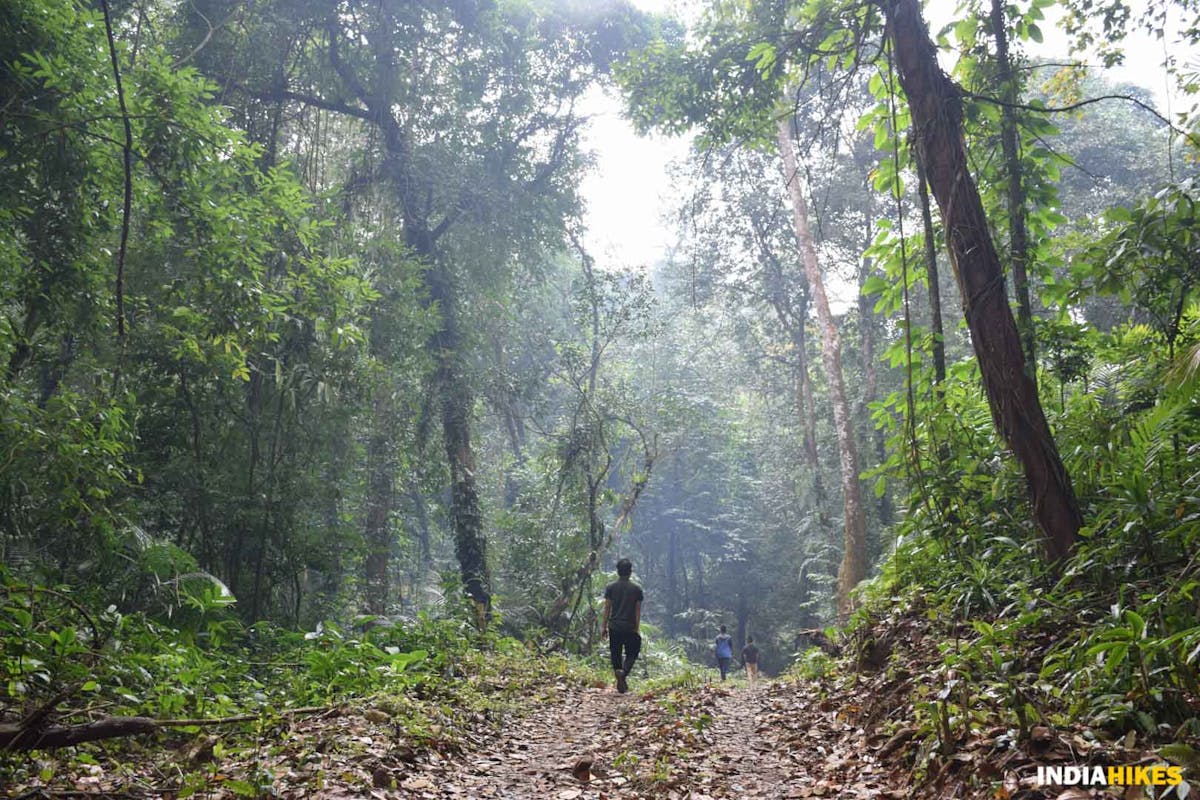 Trail to Namerum Dare - Indiahikes - Nitesh Kumar
