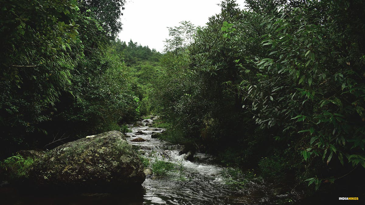 streams, david scott trek, david scott trail, trekking in meghalaya, treks in meghalaya