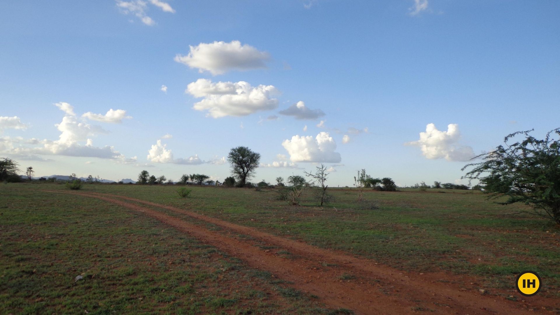 Jayamangali Blackbuck Reserve. Picture by Suhas Saya
