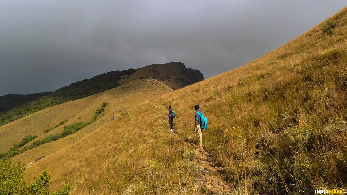 Golden brown meadows, Route Map, Kumara Parvatha, Indiahikes, Western Ghats treks, Karnataka treks, treks in Karnataka, most difficult trek in the western ghats of Karnataka