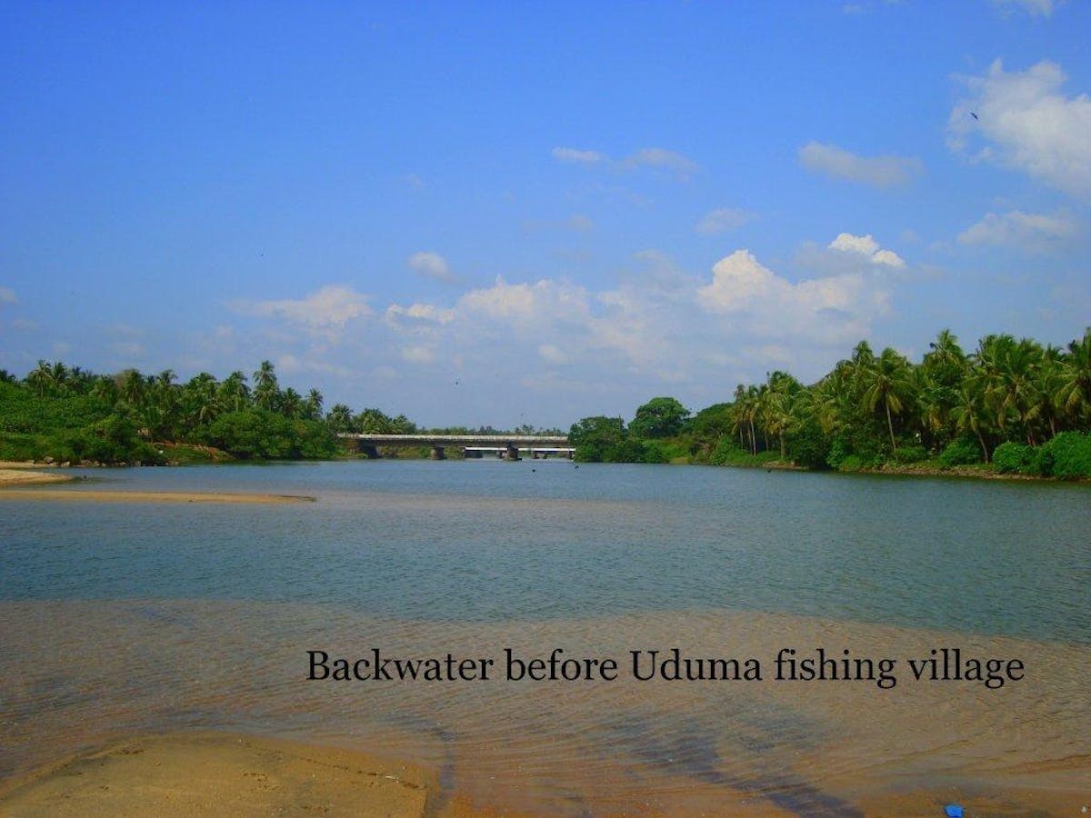 bekal-beach-trek-backwater-indiahikes-archives
