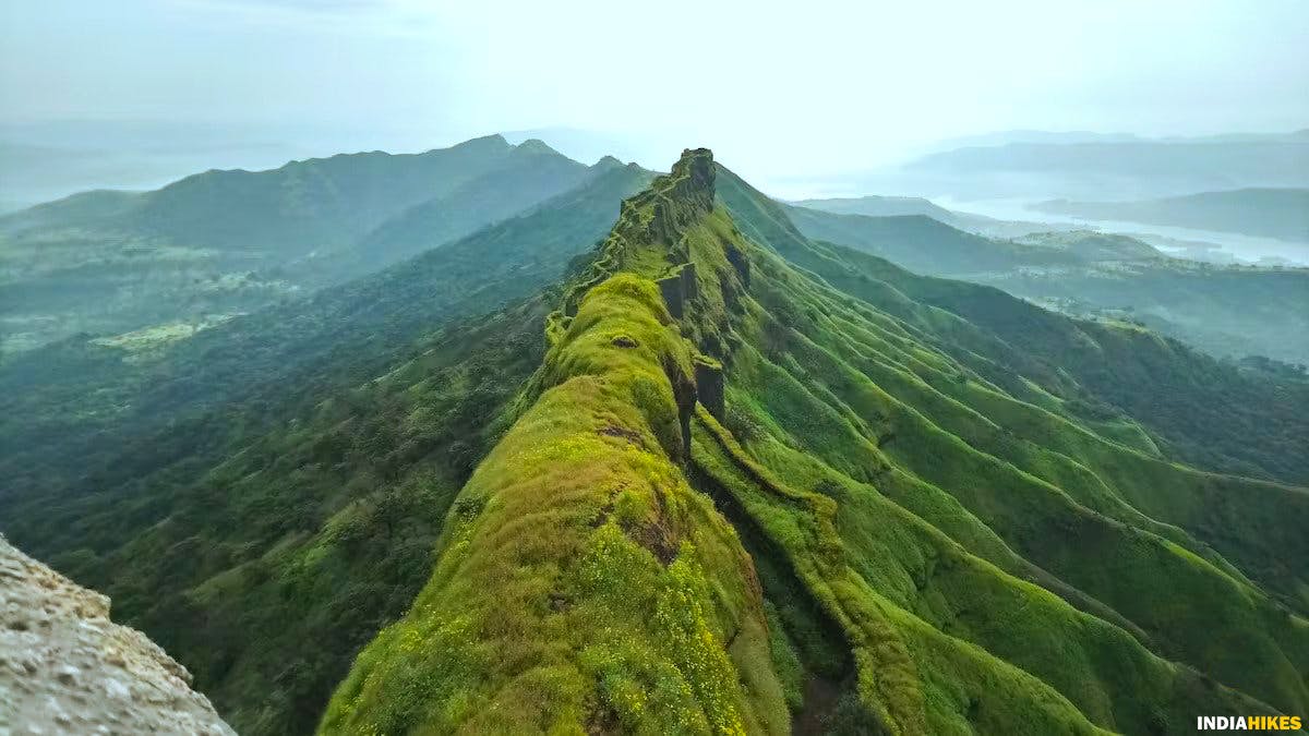 Double Fortified Wall, Rajgad Fort, Treks near Pune, Sahyadri treks, Trekking in Maharashtra, Indiahikes