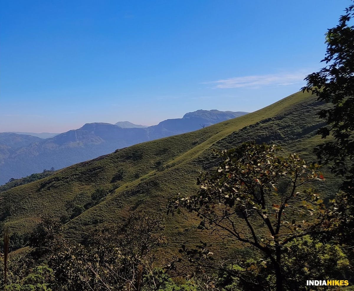 Netravati Trek, Rani jhari View Point , Indiahikes, treks in Western Ghats.