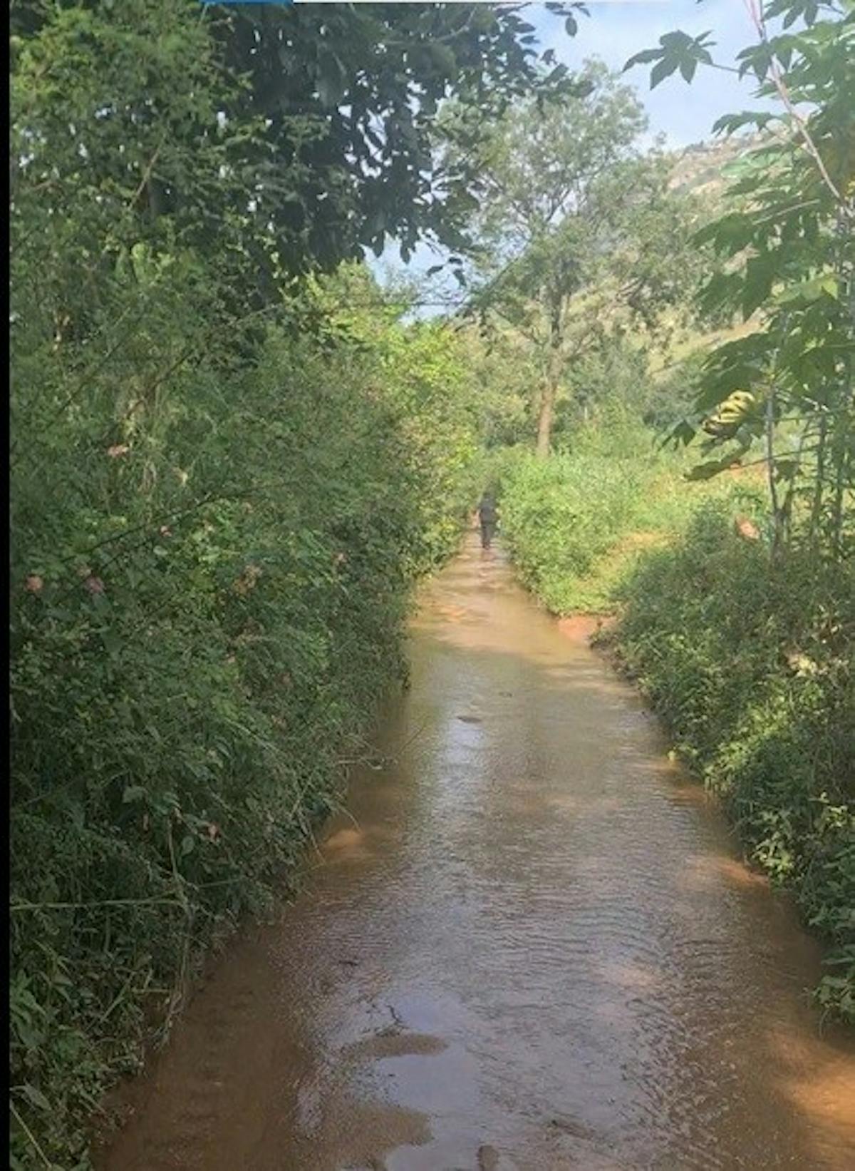 Stream walk-Minchikall Betta Trek-Indiahikes-Manjunath Krishnamurthy