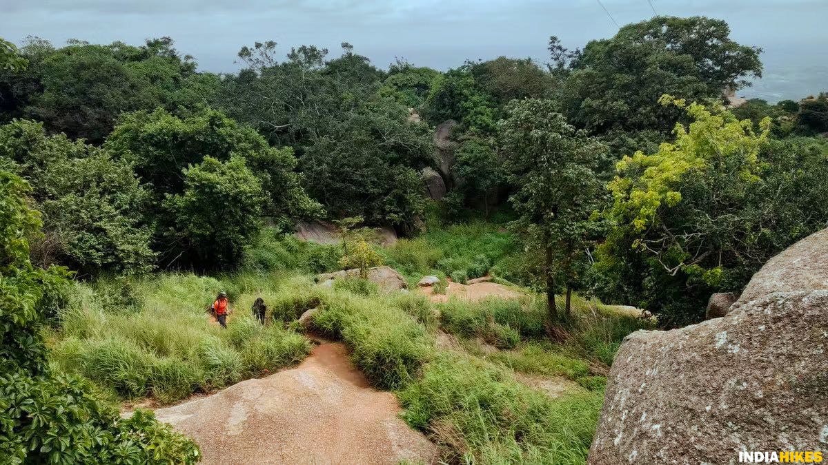 Savandurga Hills, caves, Treks around Bangalore, Indiahikes, treks in karnataka.