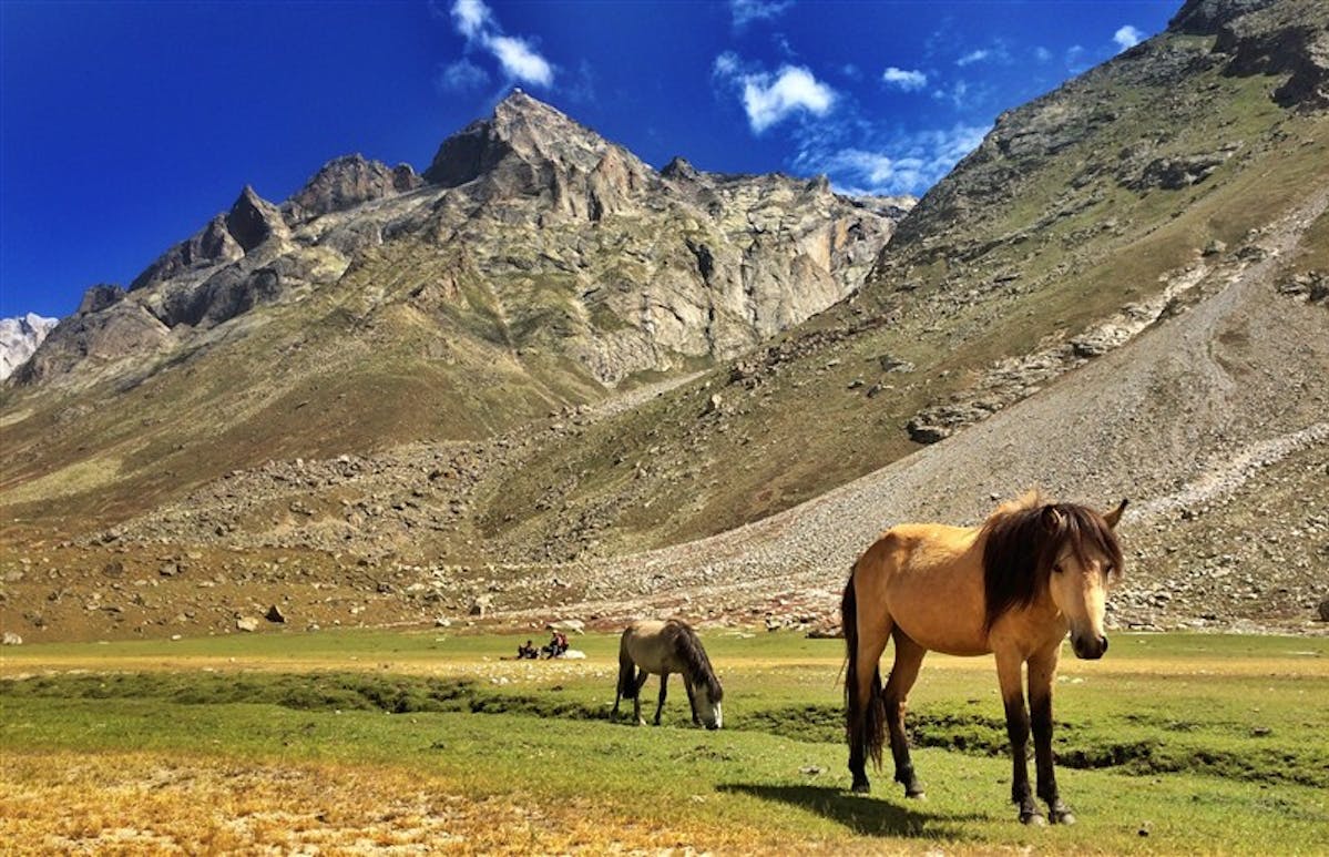 Miyar valley Trek