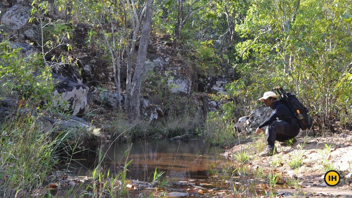 Satpura-Tiger-Reserve-Trek-Gidhmau-Nala-Indiahikes-Saurabh-Sawant