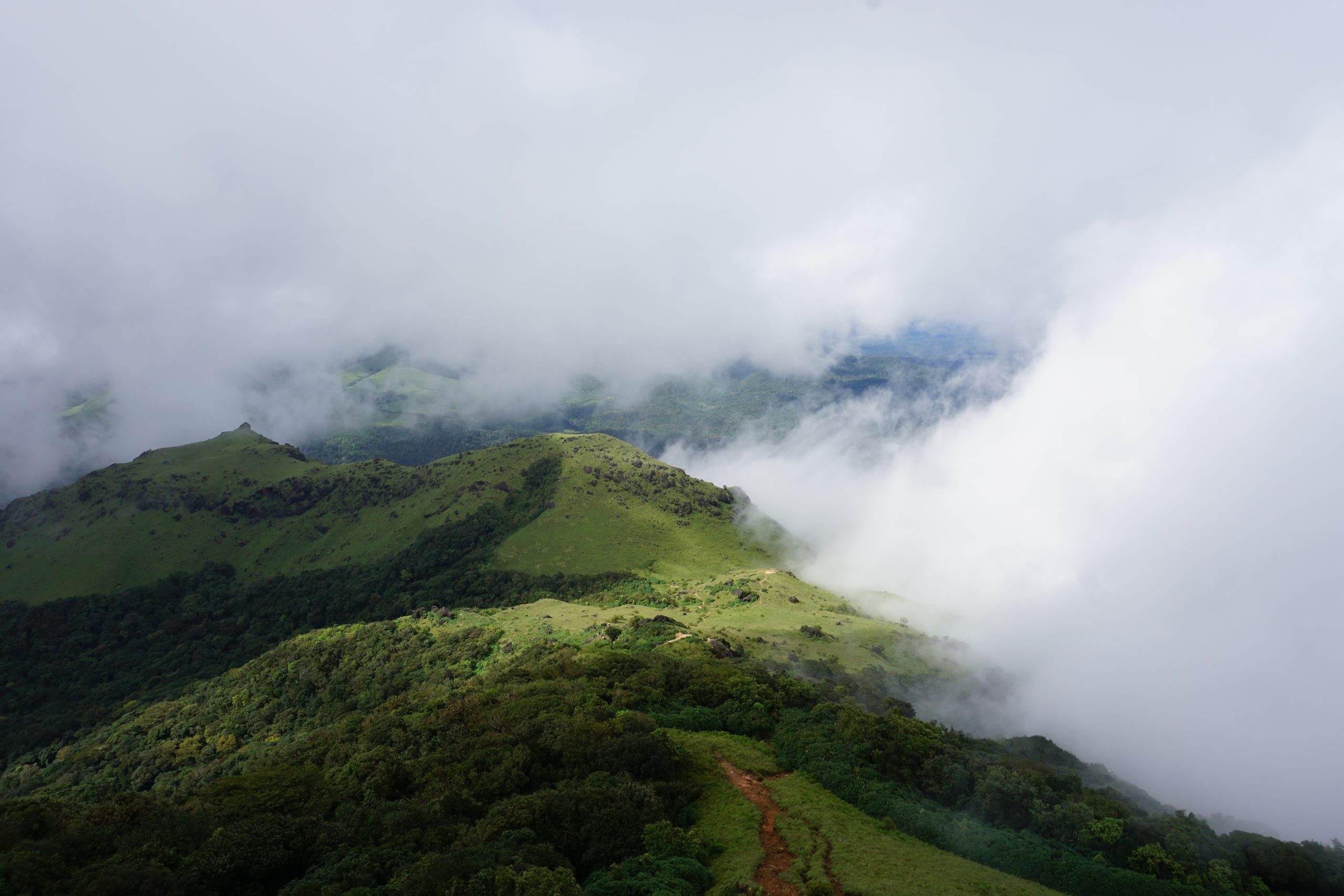 Tadiandamol Trek Trek to the Highest peak in the Kodagu district