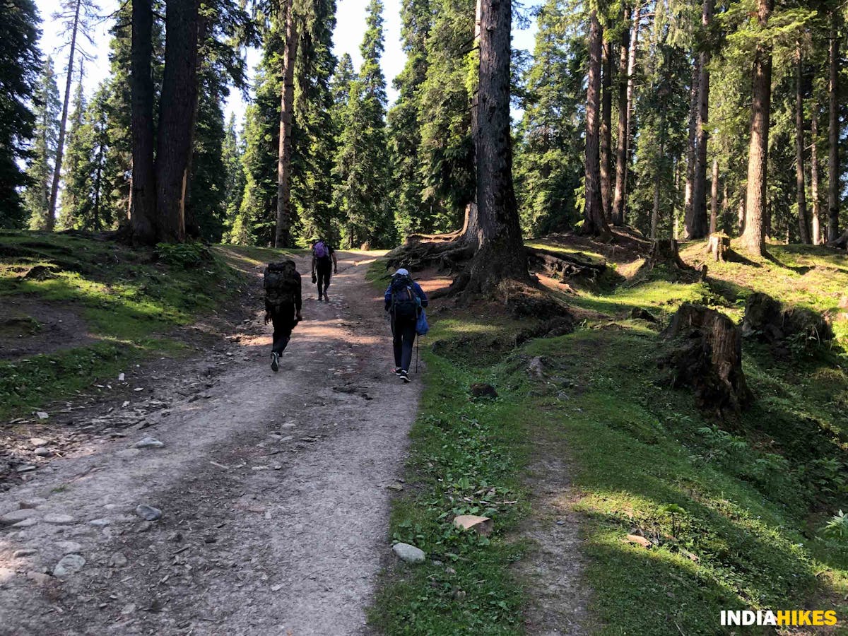 Dragdolan Trail - Danizab Trek - Indiahikes - SaliyahAhmad