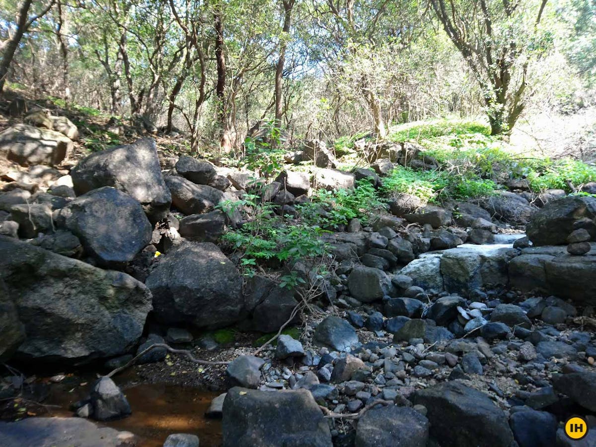 AMK Trek - The boulders inside the forest section on the way to Alang Fort - Indiahikes - Nitesh Kumar