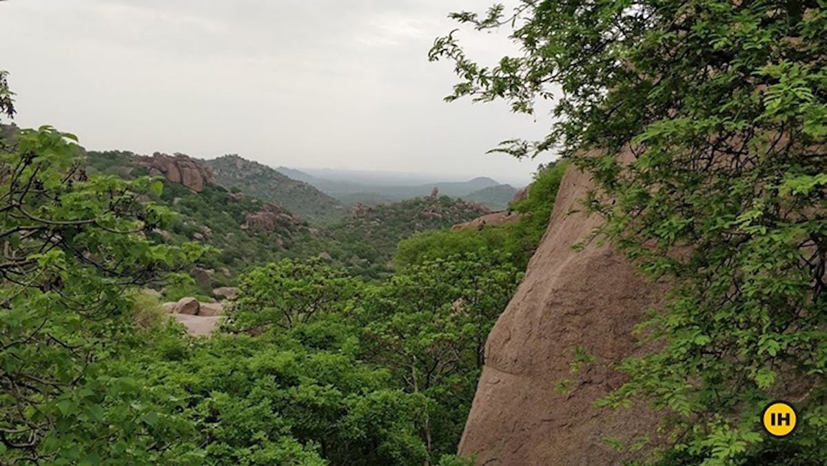 Valley view, Rachakonda Fort, treks in Hyderabad, Indiahikes
