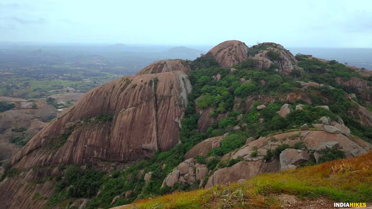 Savandurga Hills, Karigudda , Treks around Bangalore, Indiahikes, treks in karnataka.