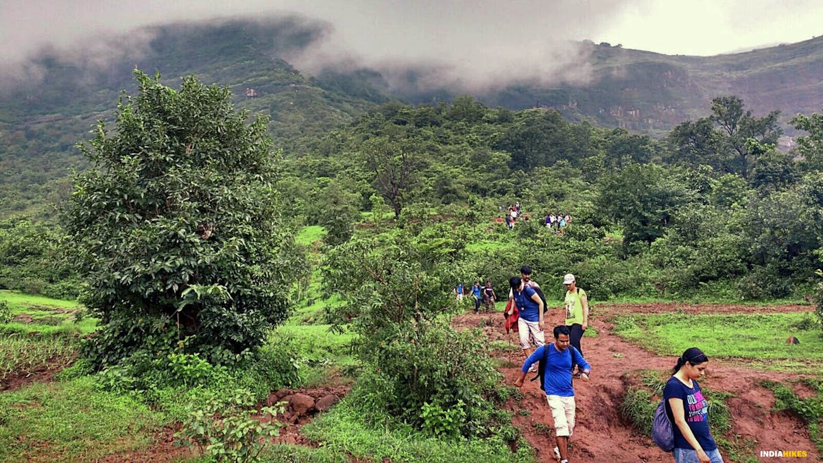 Heading towards ladder trail, Kalsubai Peak Trek, Indiahikes, Treks near Mumbai, highest peak in Maharashtra,treks near Pune, Famous treks in Maharashtra, Sahyadri treks 