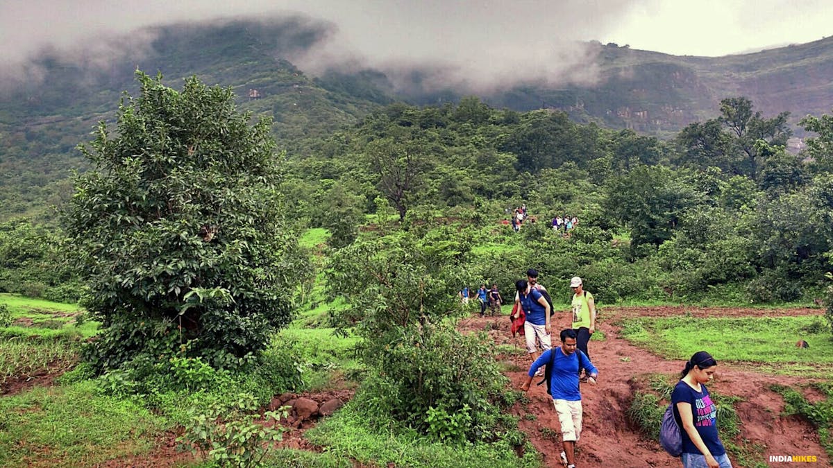 Heading towards ladder trail, Kalsubai Peak Trek, Indiahikes, Treks near Mumbai, highest peak in Maharashtra,treks near Pune, Famous treks in Maharashtra, Sahyadri treks