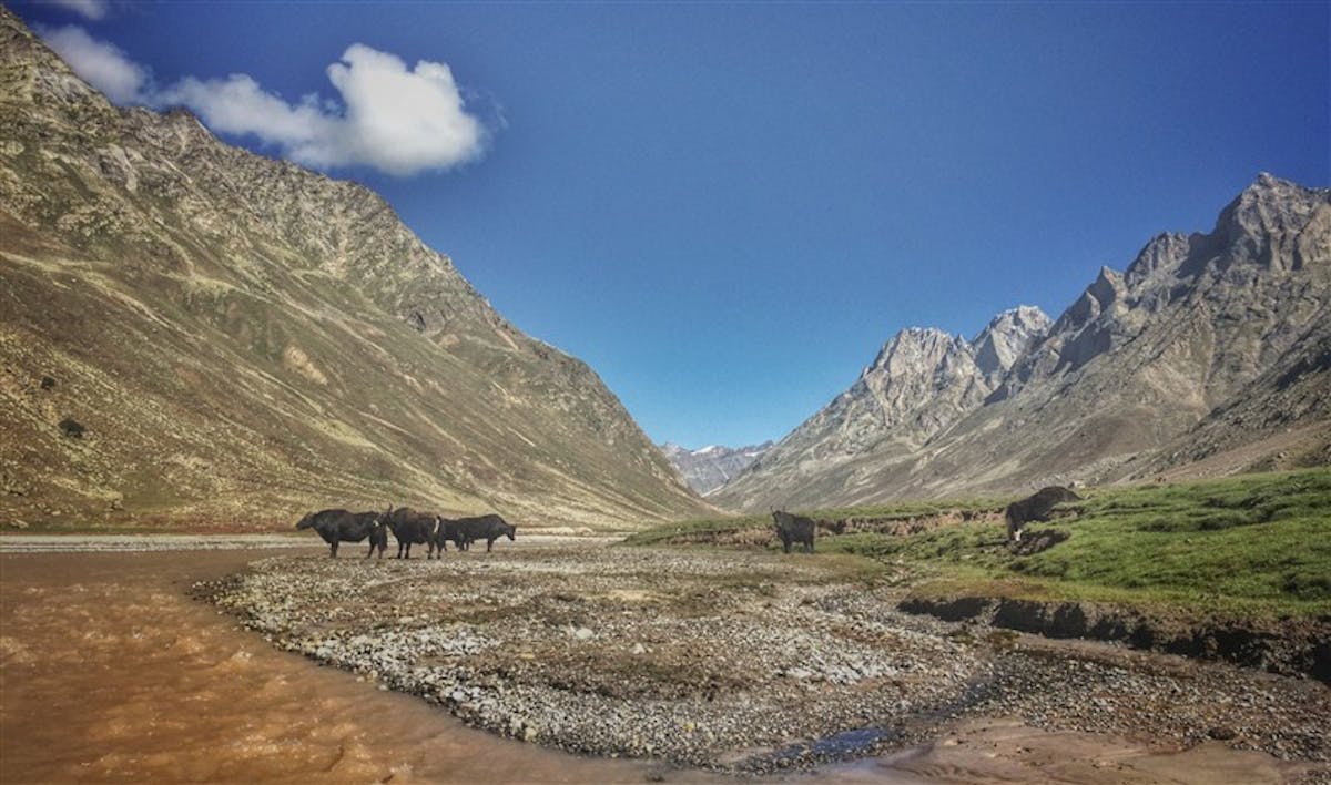 Miyar Valley Trek