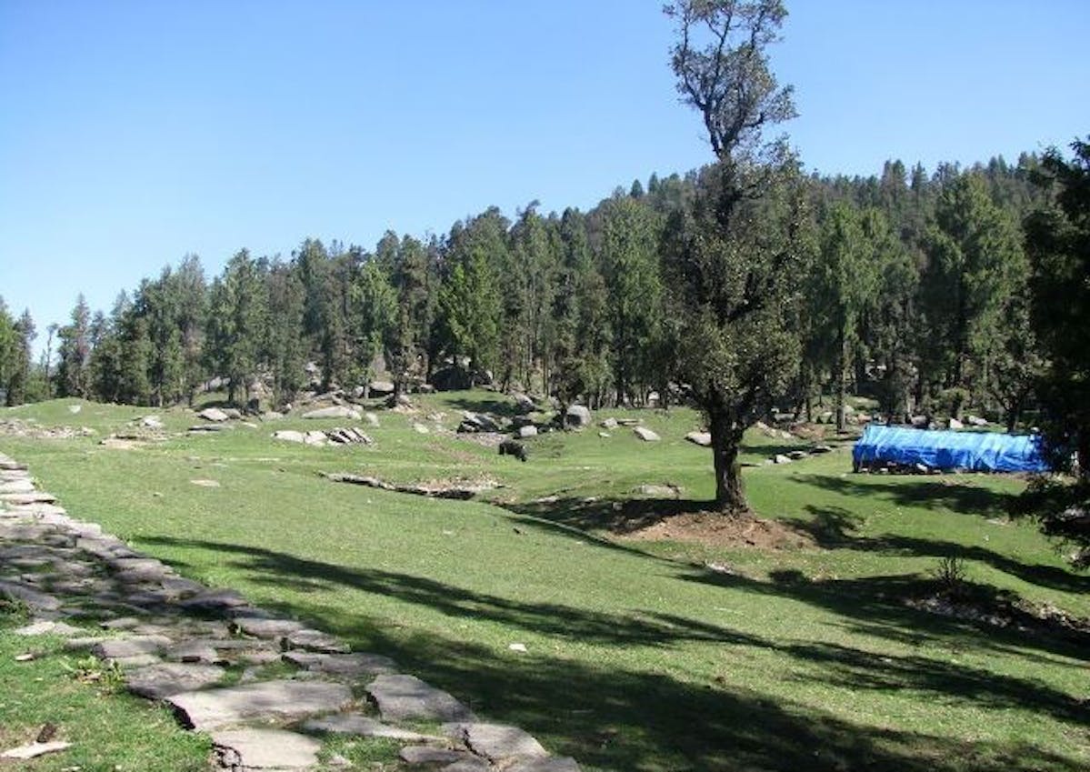 Meadows of Jamnala-Churdhar peak trek-treks in himachal- Indiahikes