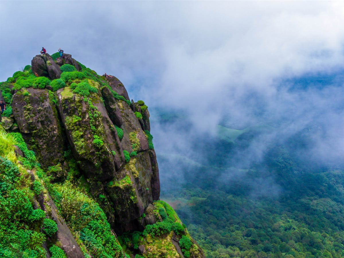 Kurinjal-Indiahikes-Bhajish