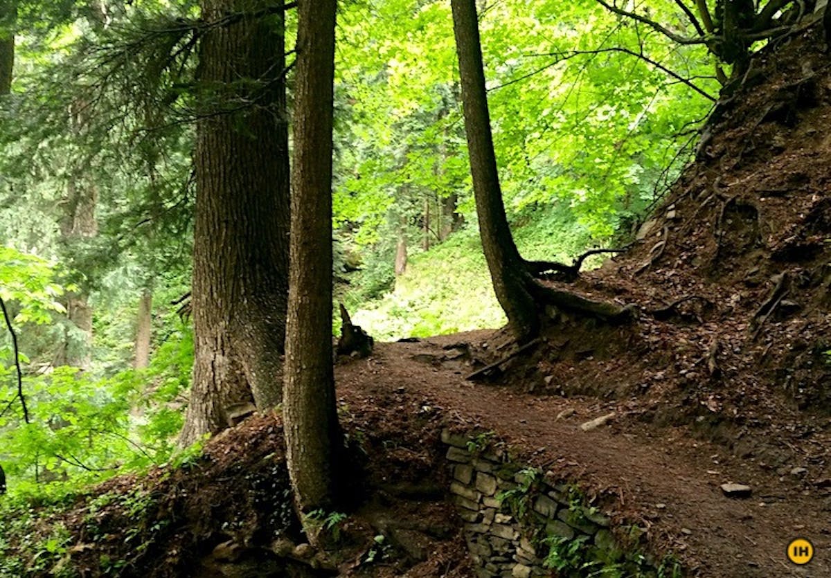 Kheerganga Buni Buni Pass-Treks in Himachal-Forest section-Indiahikes