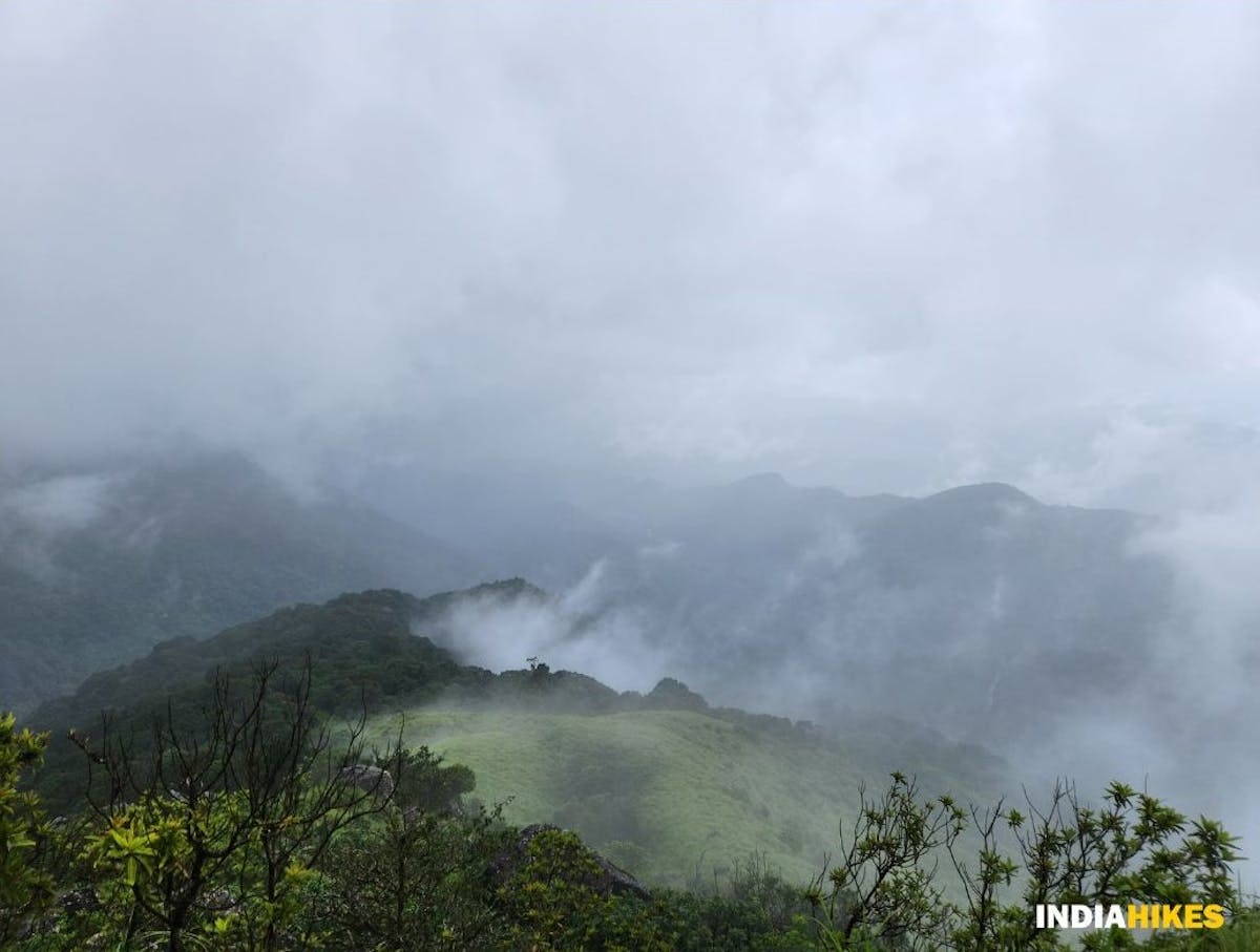 Shola rain forest in peak monsoon, Ranipuram, Western Ghats, Treks in Kerala 