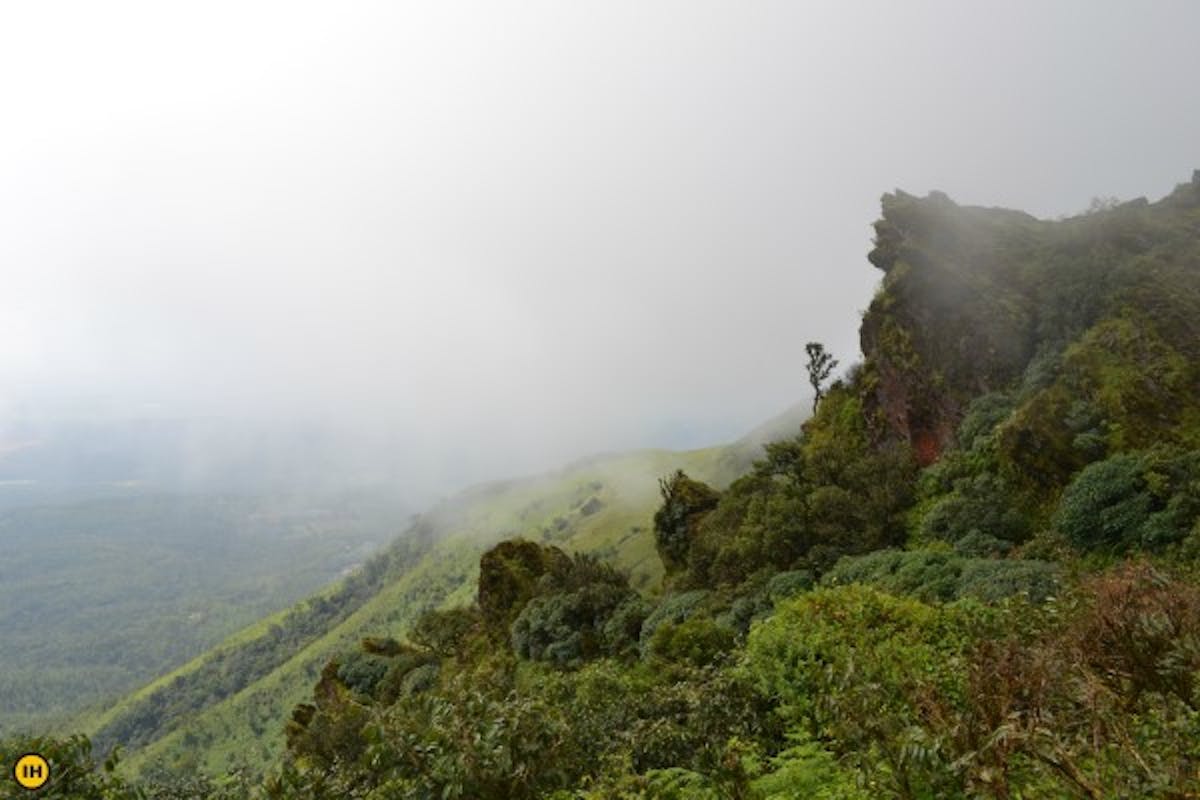 mullayanagiri-Trek to the highest peak in Karnataka-indiahikes. treks in karnataka