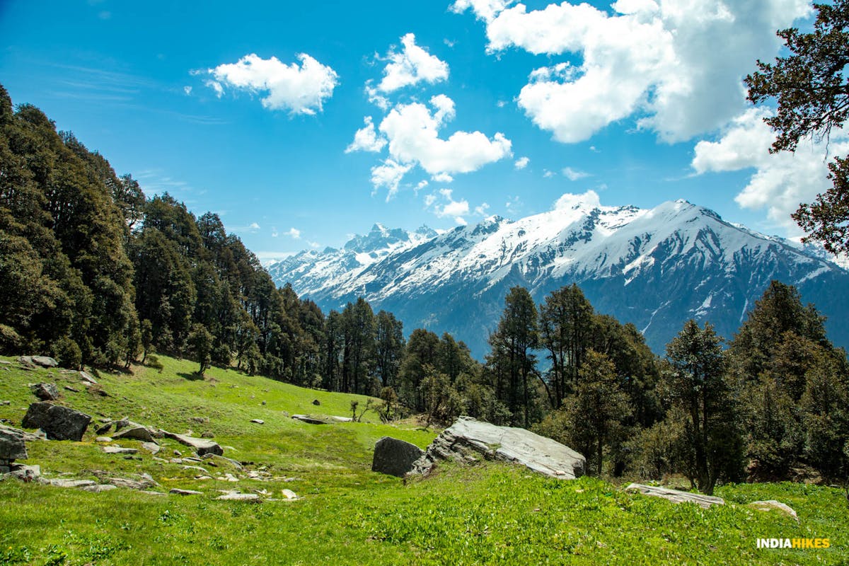 Chandrakhani Pass trek, clearings, campsites