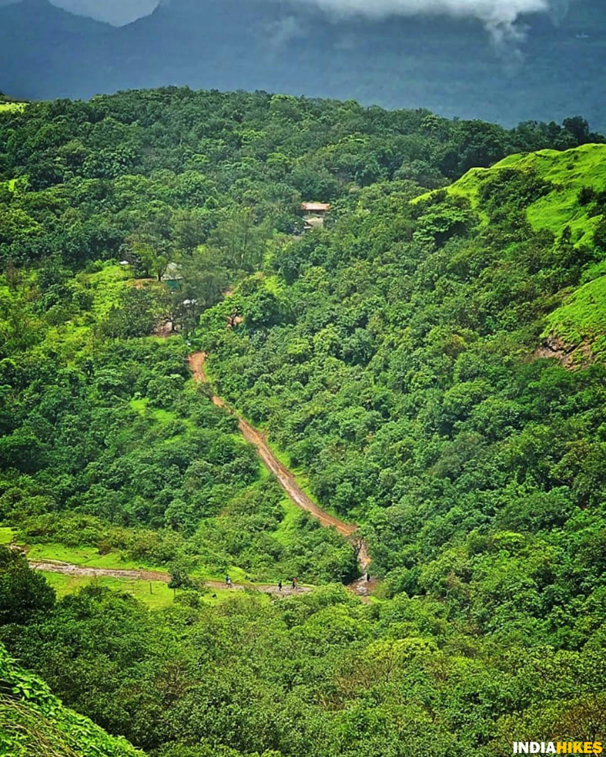 Trail from a distance, Rajmachi Fort trek, Rajmachi trek, Treks near Pune, western ghats treks, Sahyadri treks, treks in Maharashtra