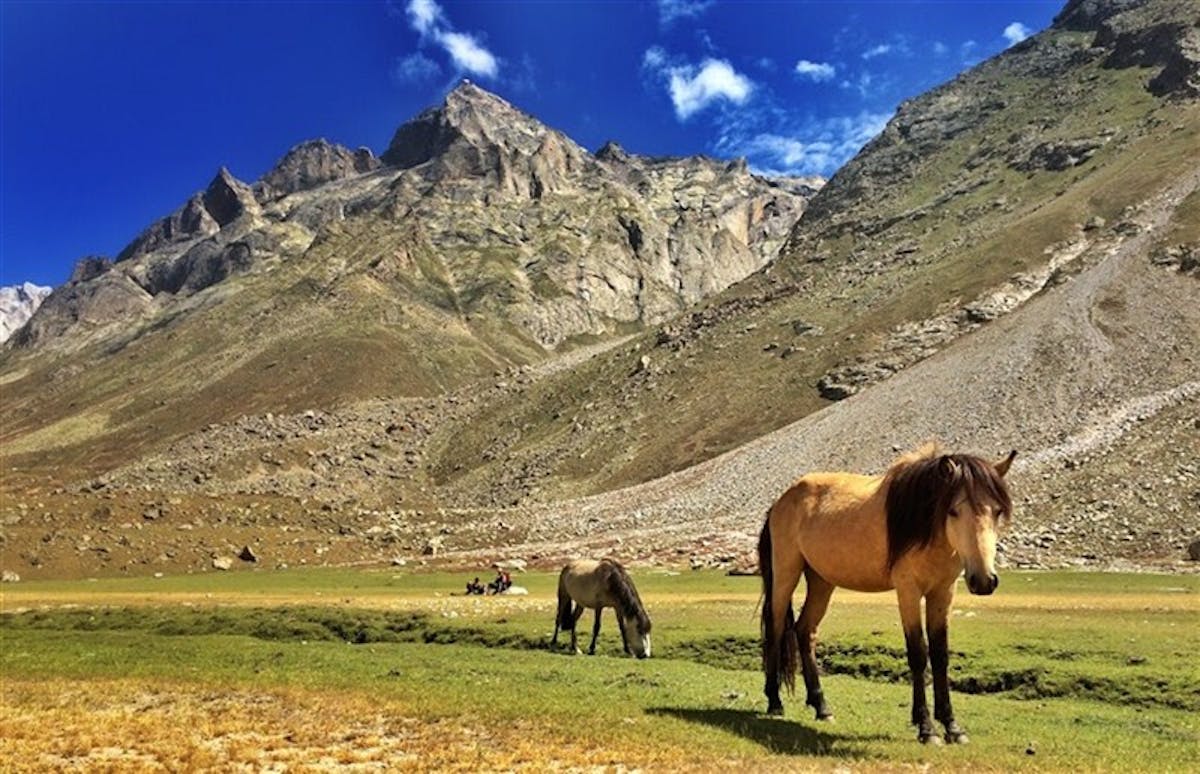 Miyar Valley Trek