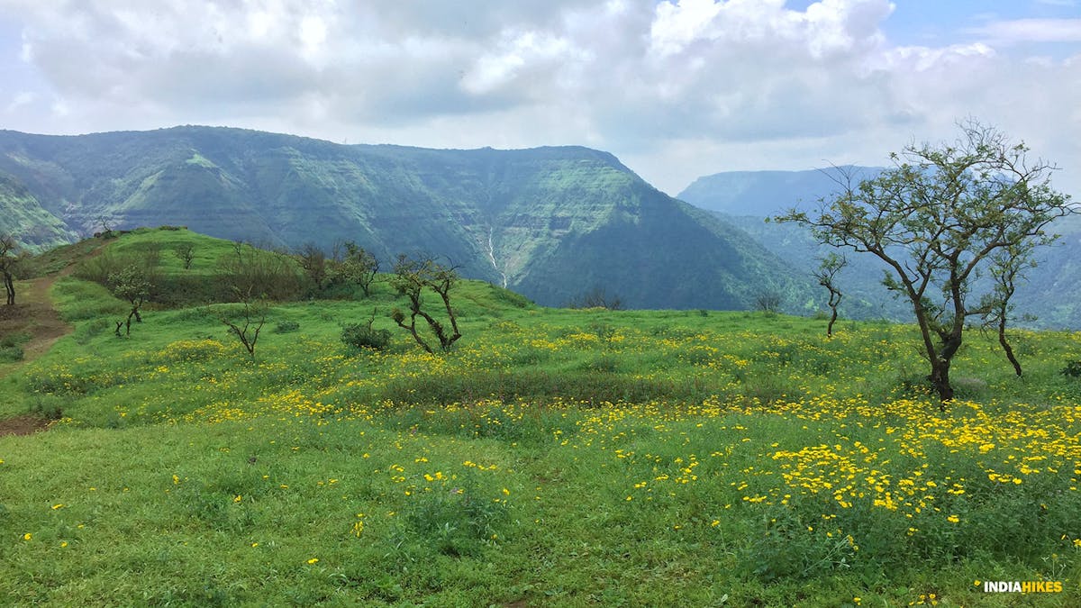 Forest section. Peb fort trek. maharashtra treks.