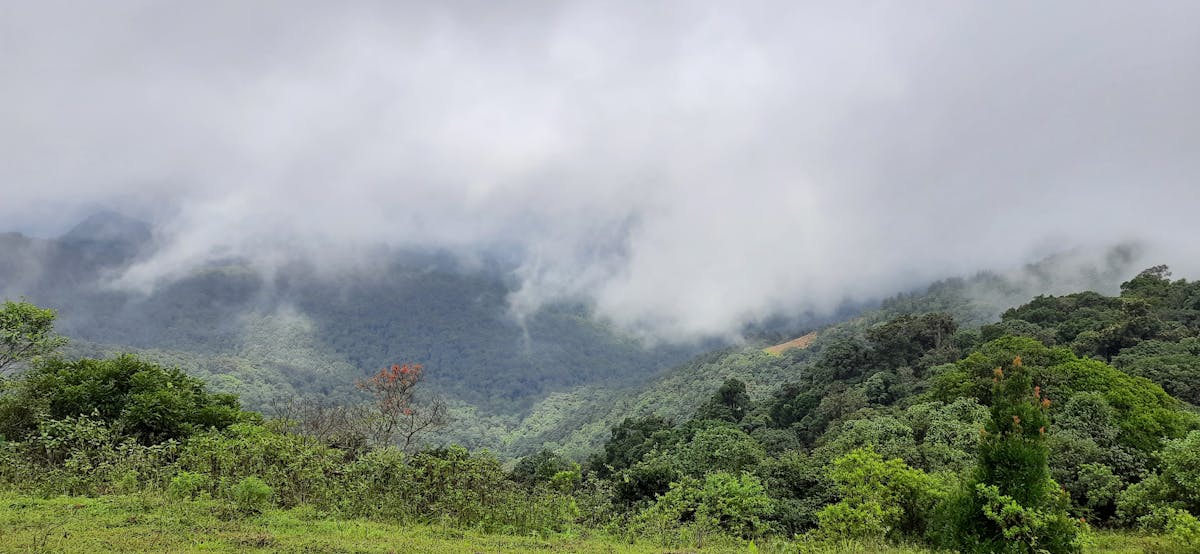 Nishani Motte Trek - Indiahikes
