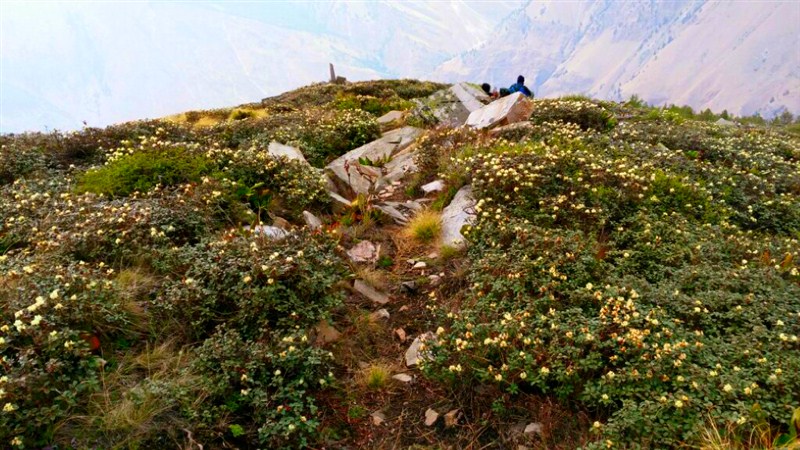 Nanda Devi National Park Trek