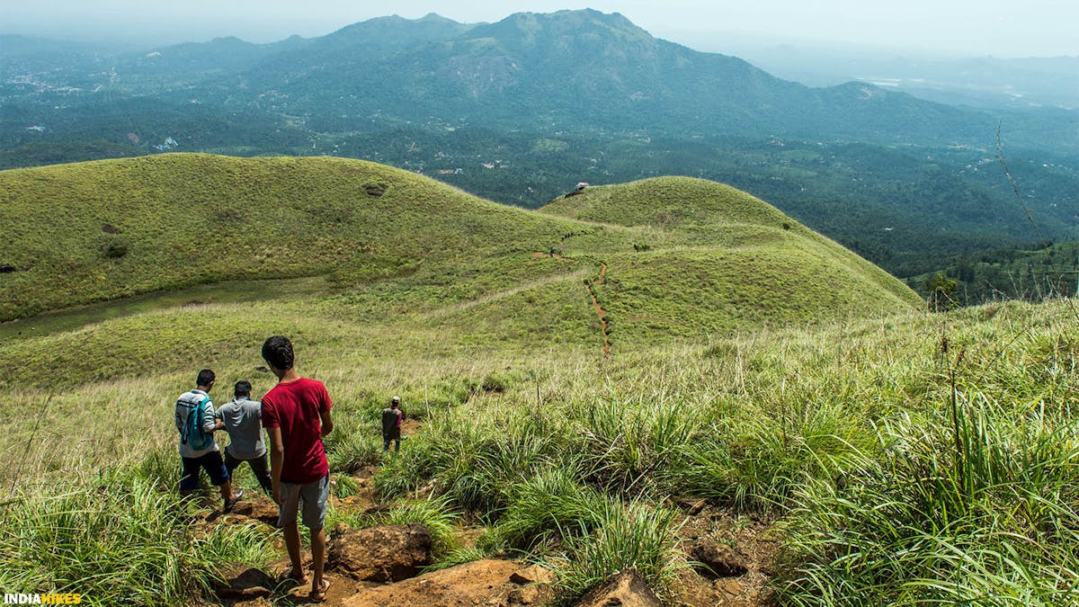 Rolling green hills, Chembra lake, Chembra peak, chembra trek, heart-shaped lake, treks in Kerala, Indiahikes