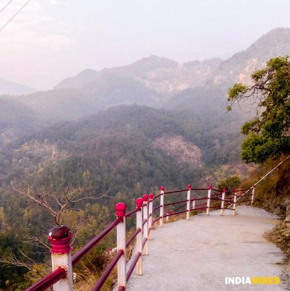 Trail_Surkanda Devi Trek_Indiahikes_Deepali Bansal